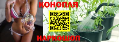 круглые Камышлов